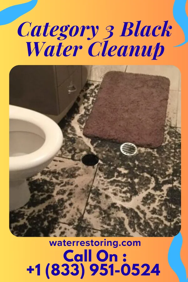 Category 3 Black Water Cleanup in Zwingle, IA