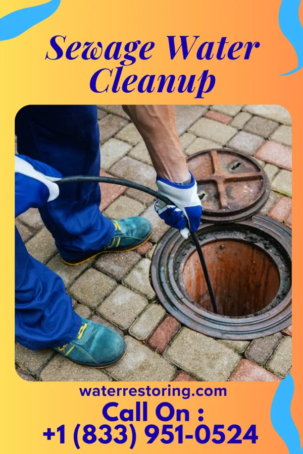 Sewage Water Cleanup in Zwingle, IA